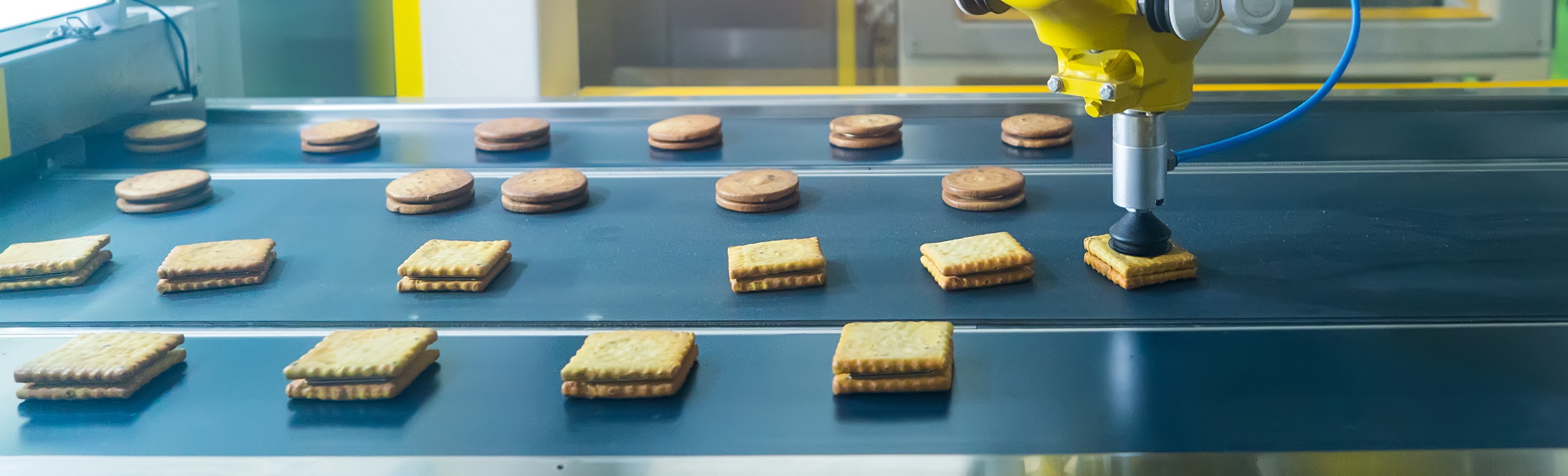 Production line at a factory