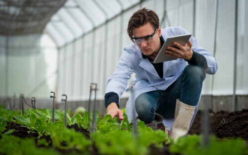 Crop Research