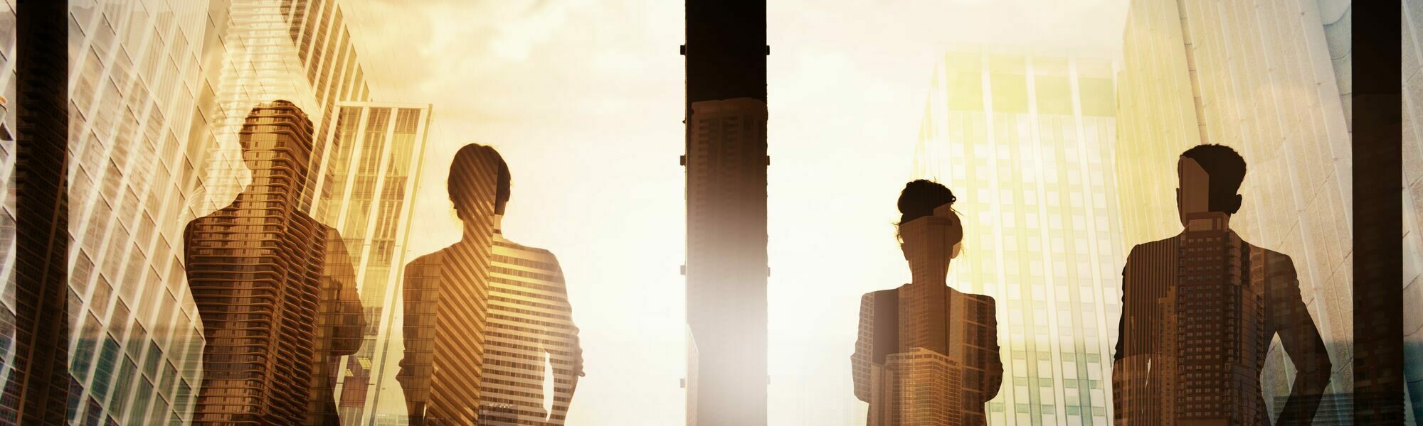 Business partners looking to the future