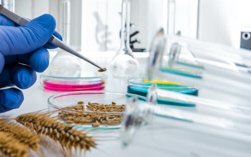 Food Research And Development