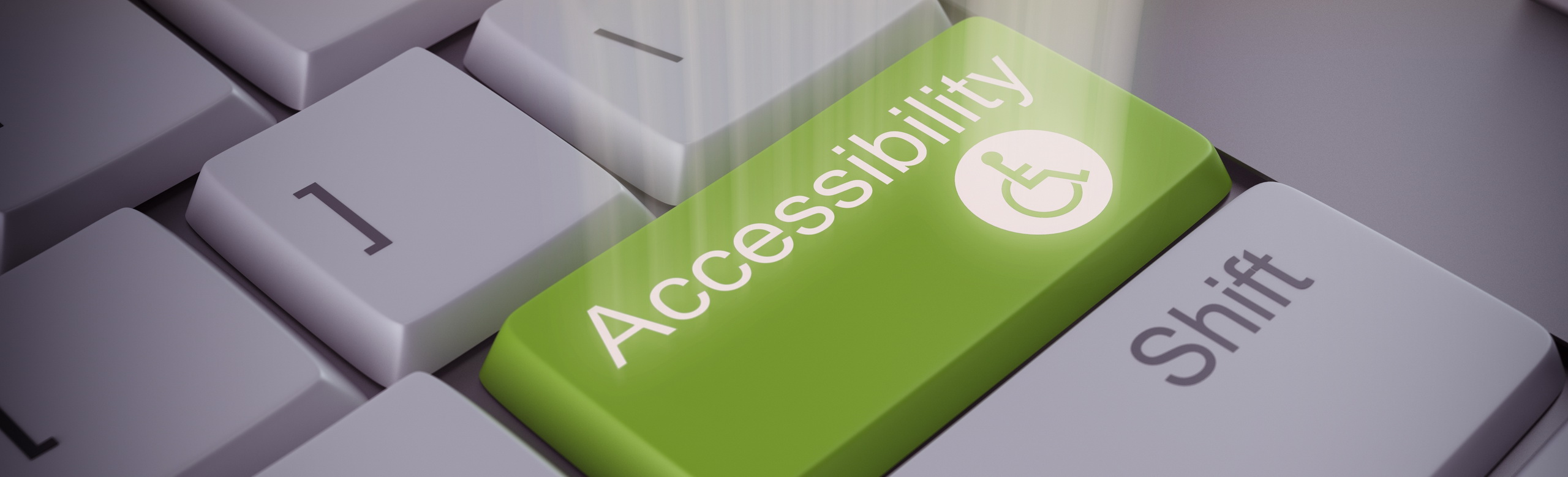 Accessability Header