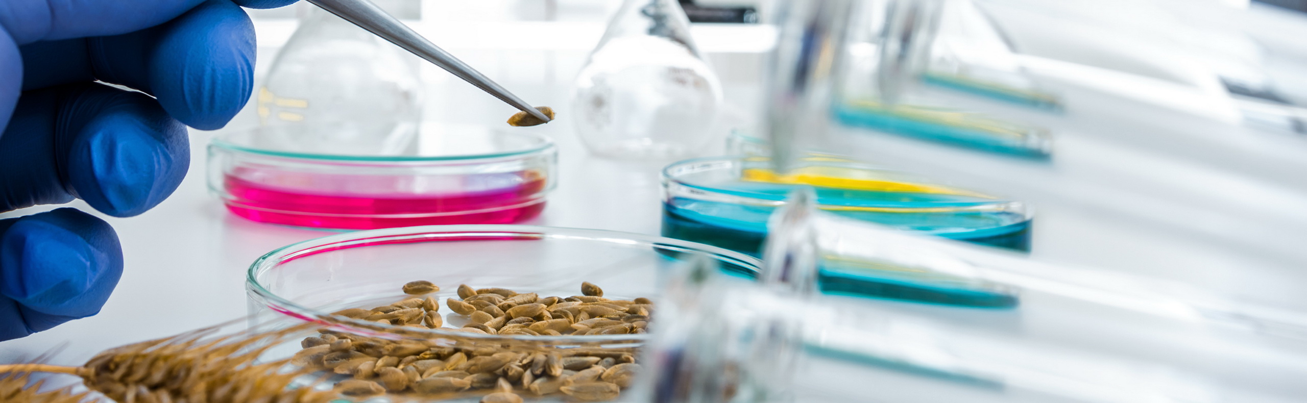 Research Header