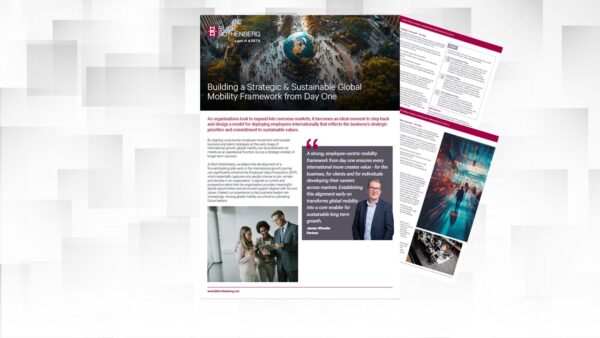 GM Framework flyer